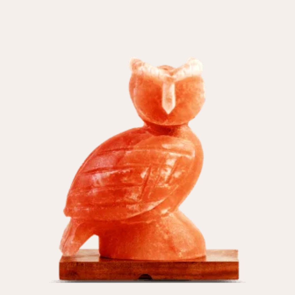 Salt owl shape Lamp