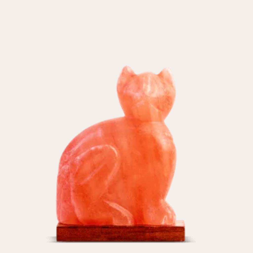 Salt cate shape Lamp