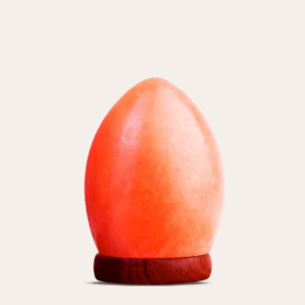 Salt natural shape Lamp