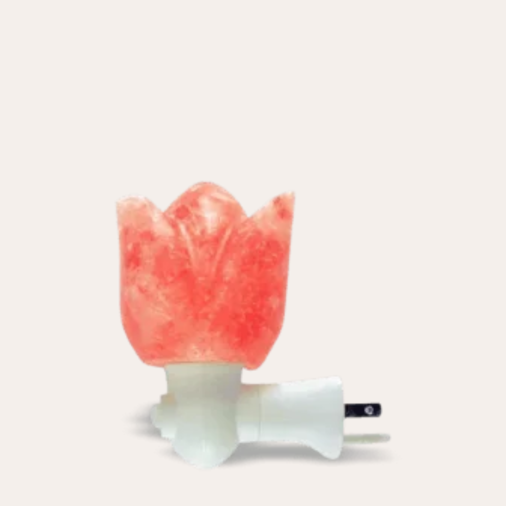 Salt lotus Lamp