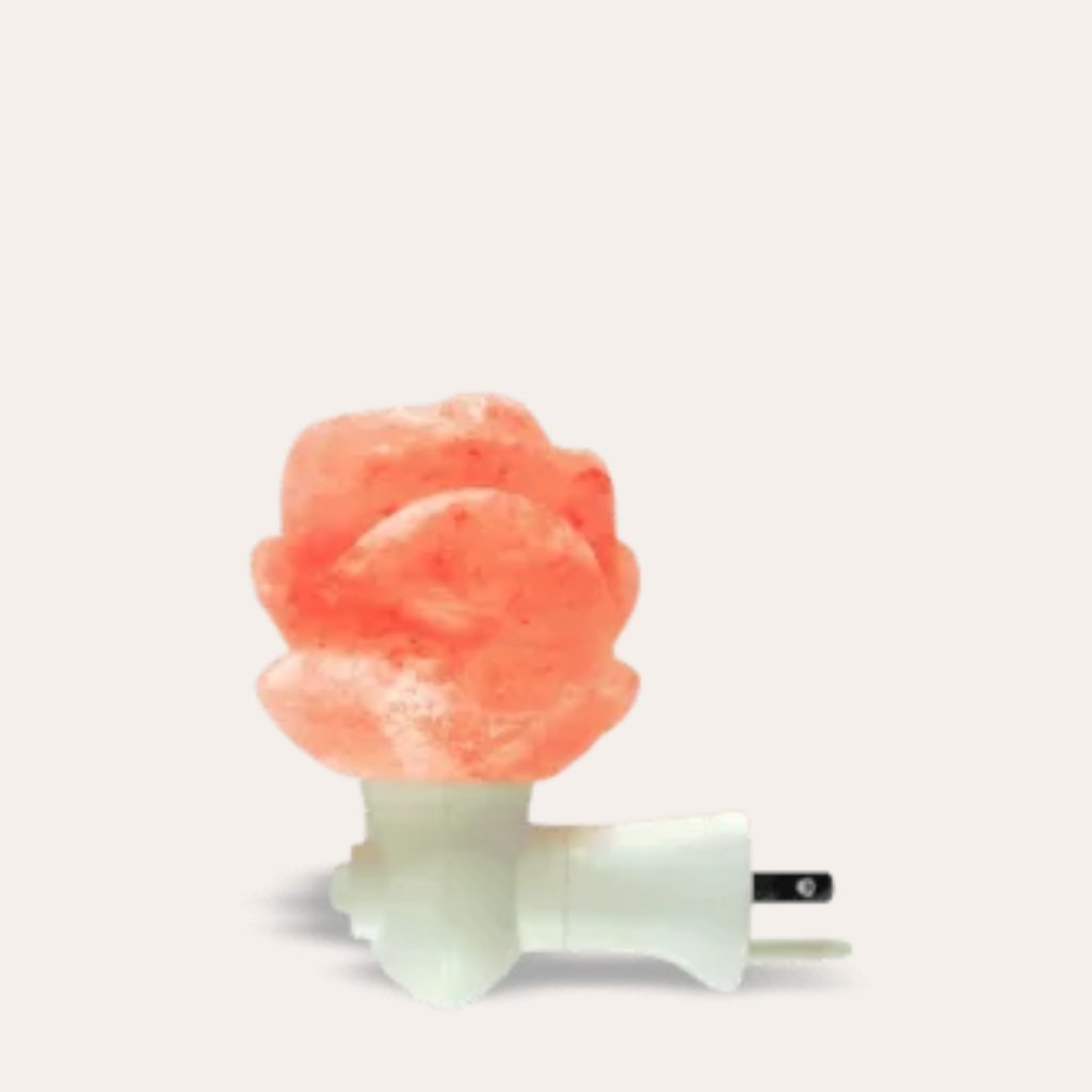 Salt flower Lamp